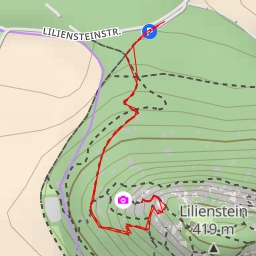 thumbnail for Liliensteinwächter