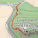 thumbnail for Liliensteinnadel