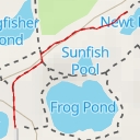 thumbnail for Newt Pool