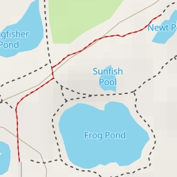 thumbnail for Newt Pool