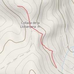 thumbnail for Puifalcons