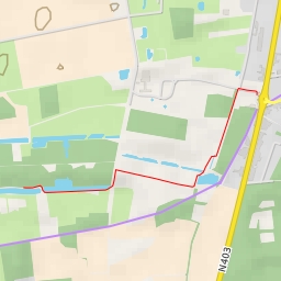 thumbnail for De Schommeling