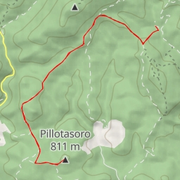 thumbnail for Pillotasoro