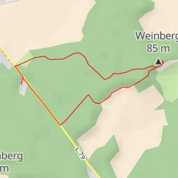 thumbnail for Weinberg