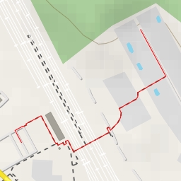 thumbnail for Кедровая аллея - Кедровая аллея