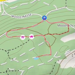 thumbnail for Moosstrasse - Rapperswil-Jona