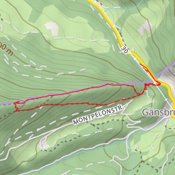 thumbnail for Martinswägli