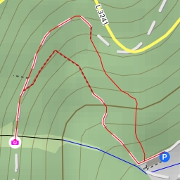 thumbnail for Bergwiese