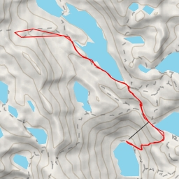 thumbnail for Cogomella