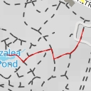 thumbnail for Azalea Pond