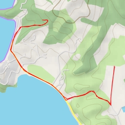 thumbnail for Kauri tree viewpoint