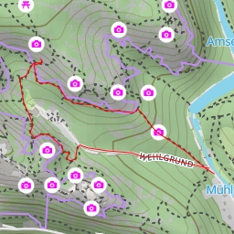 thumbnail for Habicht