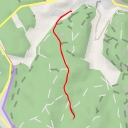 thumbnail for Kiefernturm