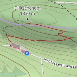 thumbnail for Dilitschchopf