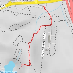 thumbnail for Jungle Fall Path - Singapore