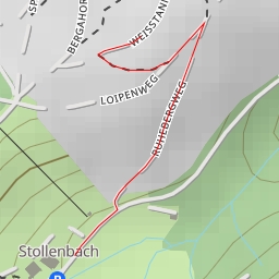 thumbnail for Weisstannenweg