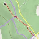 thumbnail for Steinberg