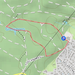 thumbnail for Grossmoos 1