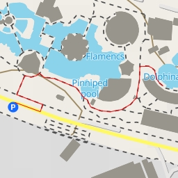 thumbnail for Delfinari