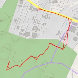 thumbnail for Mayur Pahari