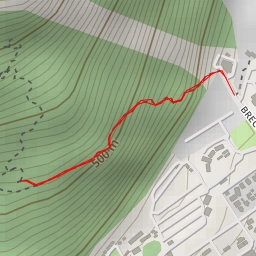 thumbnail for Tiki Walking Track