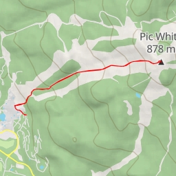 thumbnail for Pic White