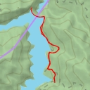 thumbnail for 239 - 239