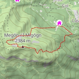 thumbnail for Bech pico
