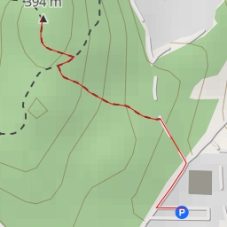 thumbnail for São Silvestre