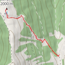 thumbnail for Salfeins