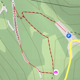 thumbnail for Route de Saint-Nizier