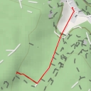 thumbnail for Waldwächter