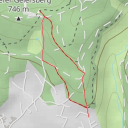 thumbnail for Skibaude Goldlauter