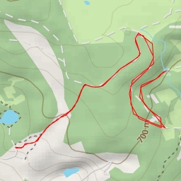 thumbnail for Pilze - Hochrhönstraße