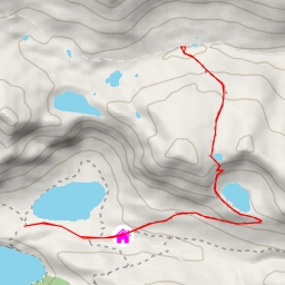 thumbnail for Stabbio di Mezzo - Microbiological path