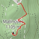 thumbnail for Malinovec