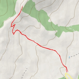 thumbnail for Cachiporrilla