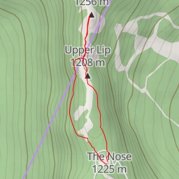 thumbnail for Lower Lip