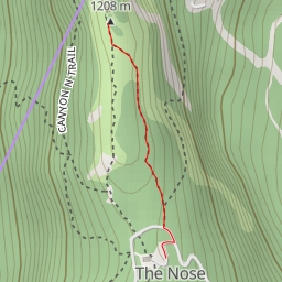 thumbnail for Upper Lip