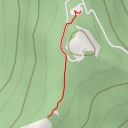 thumbnail for The Forehead