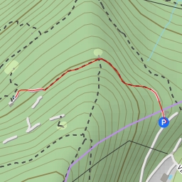 thumbnail for Sentér del Negondol