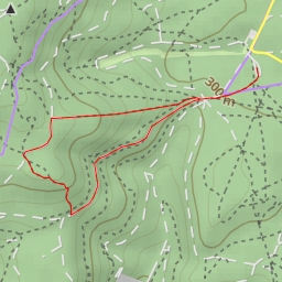 thumbnail for kleiner Peterskopf