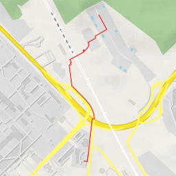 thumbnail for Кедровая аллея - Кедровая аллея