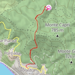 thumbnail for Strina Ex 505