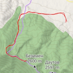 thumbnail for Плешки