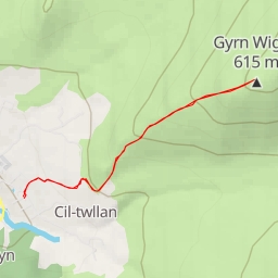 thumbnail for Gyrn Wigau