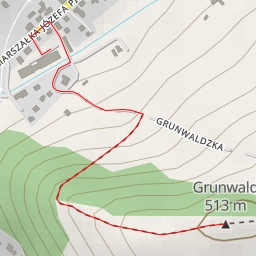 thumbnail for Grunwald