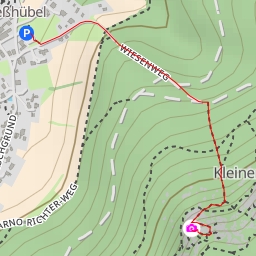 thumbnail for Flügel-V