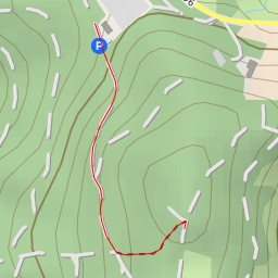 thumbnail for Steinberg