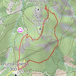 thumbnail for Riparo Scarpeggin - V bianca